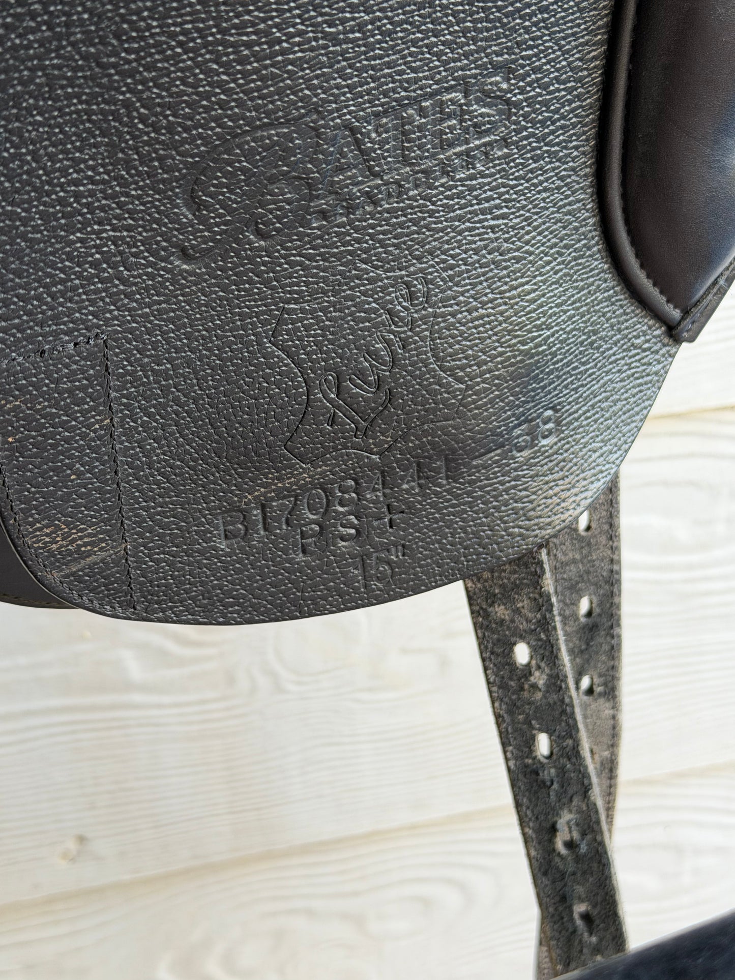 Bates Show Pony- 15inch luxe