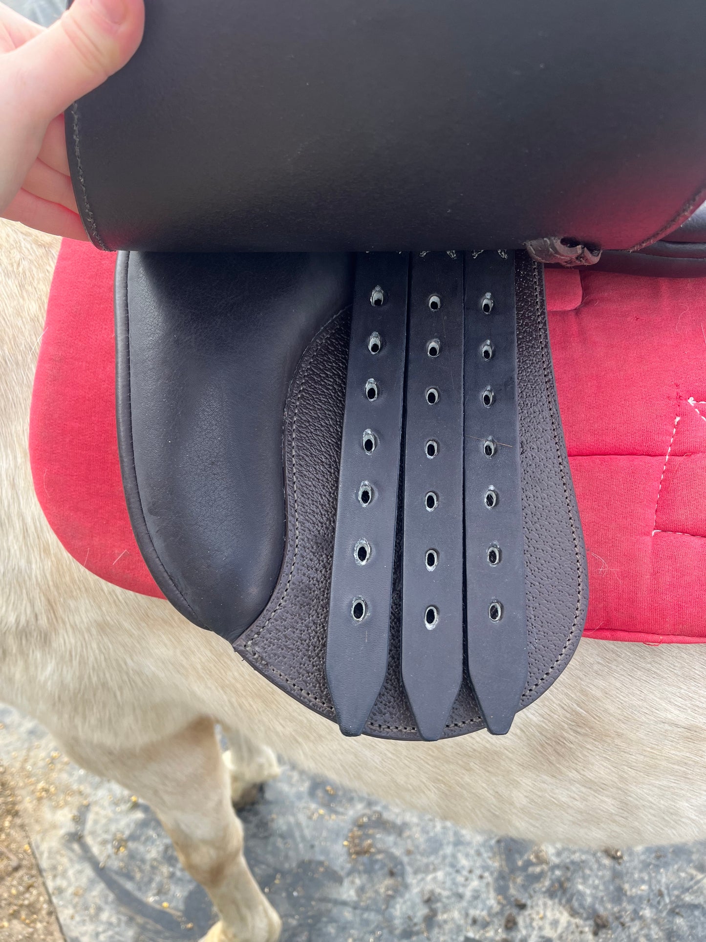 Syd hill Oxley paddle