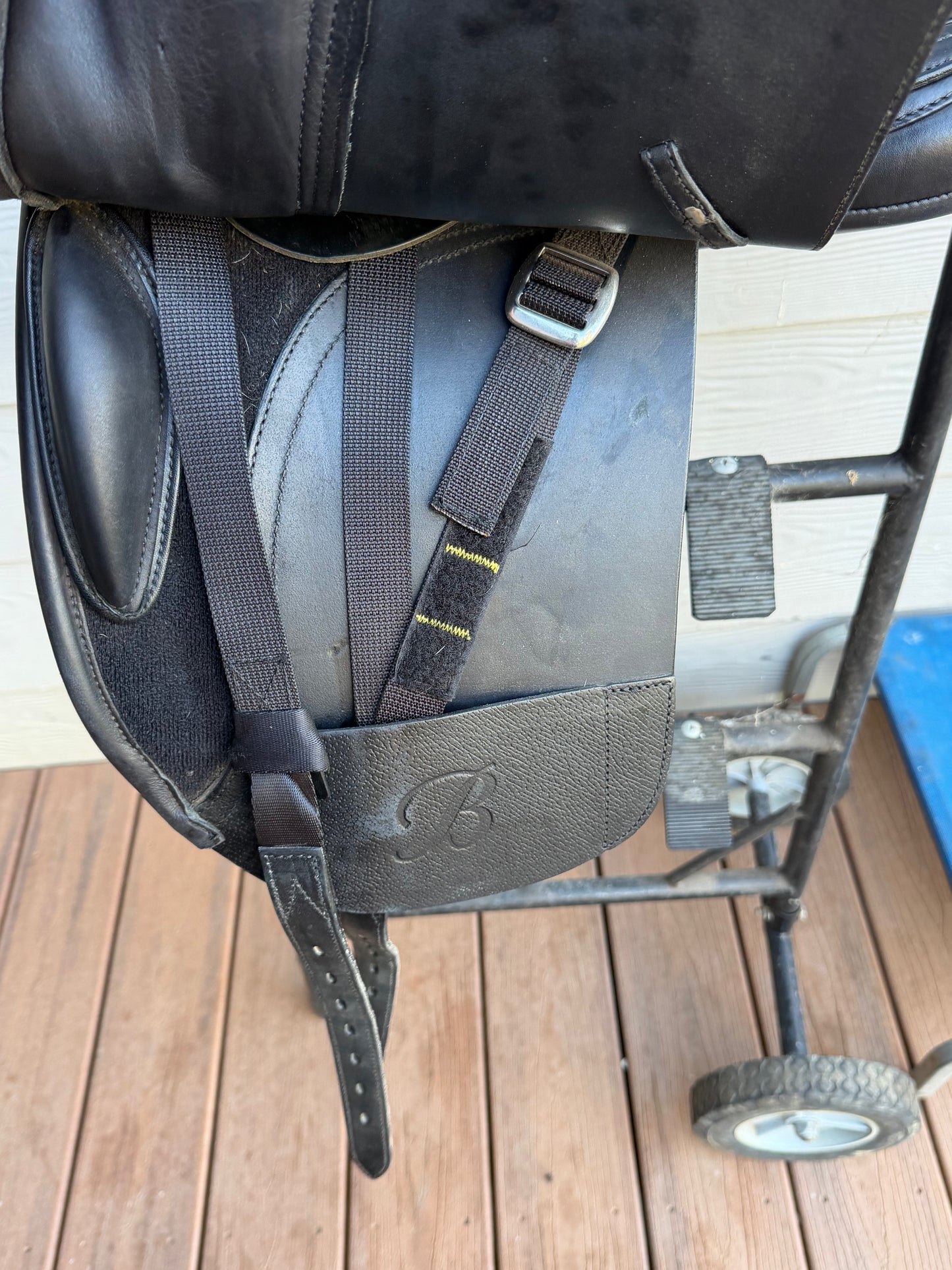 Bates Show Pony- 15inch luxe
