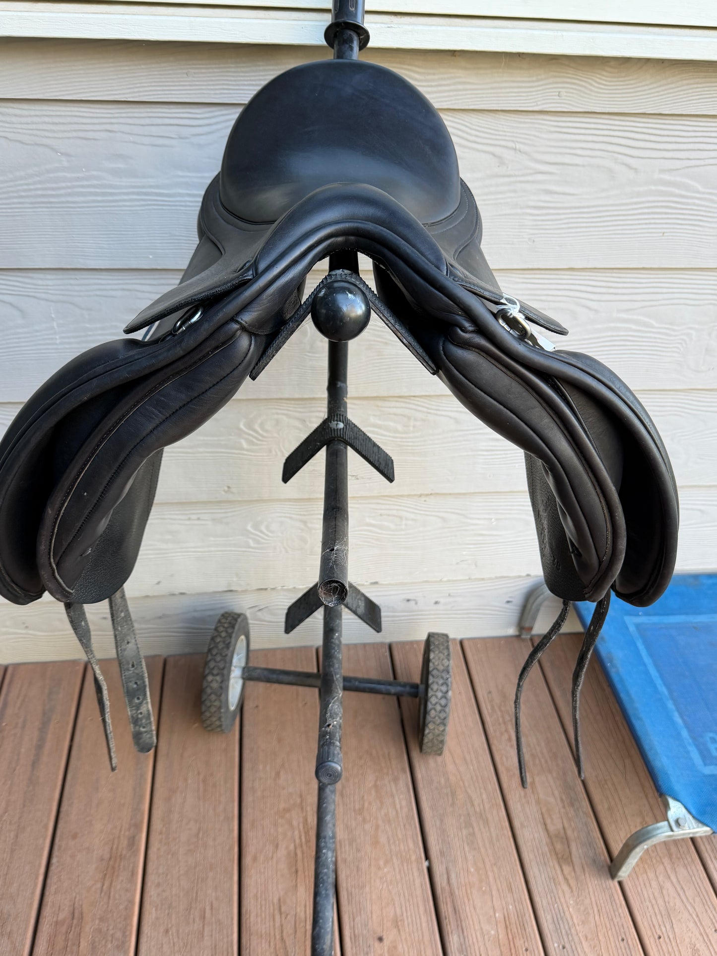 Bates Show Pony- 15inch luxe